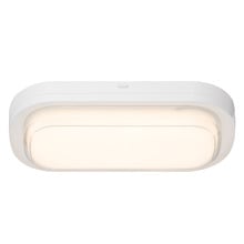 Lauder Oval LED Bunker Light